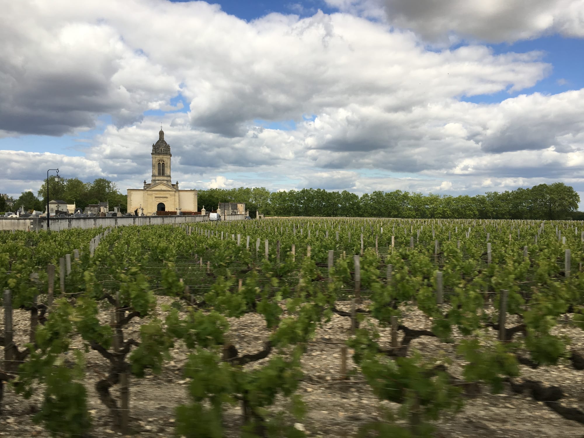 No fruit without the vine